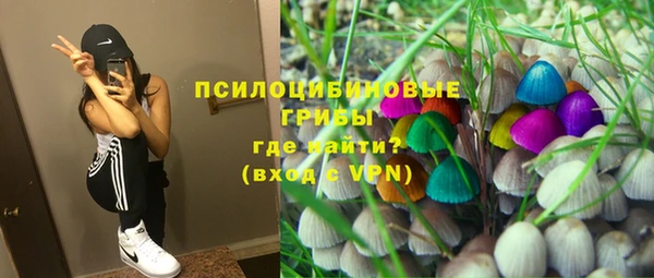 соль ск Осташков