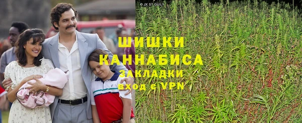 соль ск Осташков