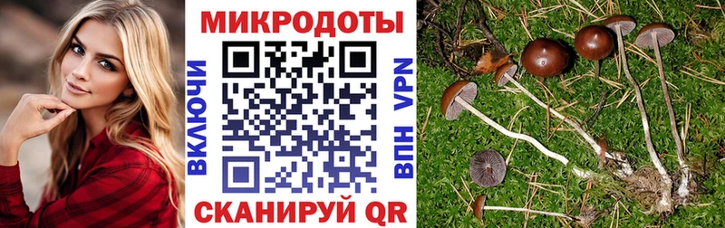 Галлюциногенные грибы прущие грибы  Абдулино 